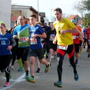 Hördter Auwaldlauf